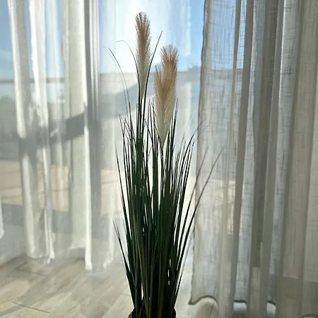 Na Wydmie Gardenia Z Widokiem Na Morze Epapartamenty Dziwnów