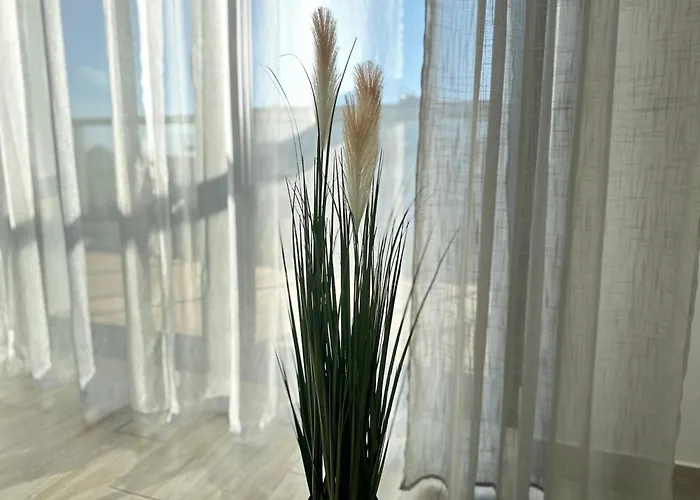 Na Wydmie Gardenia Z Widokiem Na Morze Epapartamenty Dziwnów